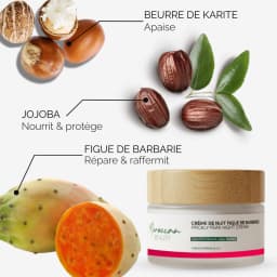 Hydra+ Routine