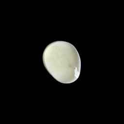Centella SOS Patch – Invisible 'Patch-Like' Spot Gel